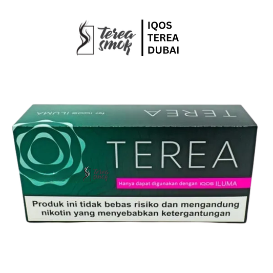 IQOS TEREA Black Green Menthol Tobacco ILUMA Dubai UAE
