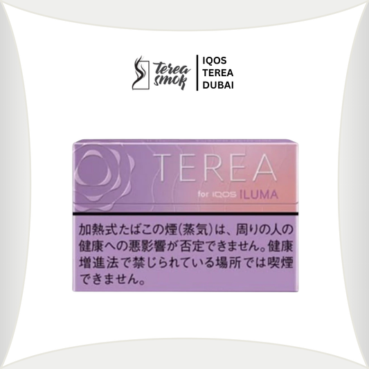 TEREA Fusion Menthol for IQOS ILUMA | Floral & Citrus Blend in Dubai