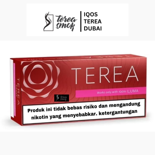 IQOS TEREA Sienna Indonesian Tobacco for ILUMA Dubai UAE