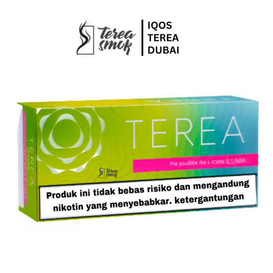 IQOS TEREA Bright Wave Indonesian Menthol Dubai