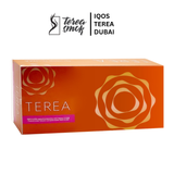 IQOS TEREA Amber Kazakhstan Sticks Dubai UAE