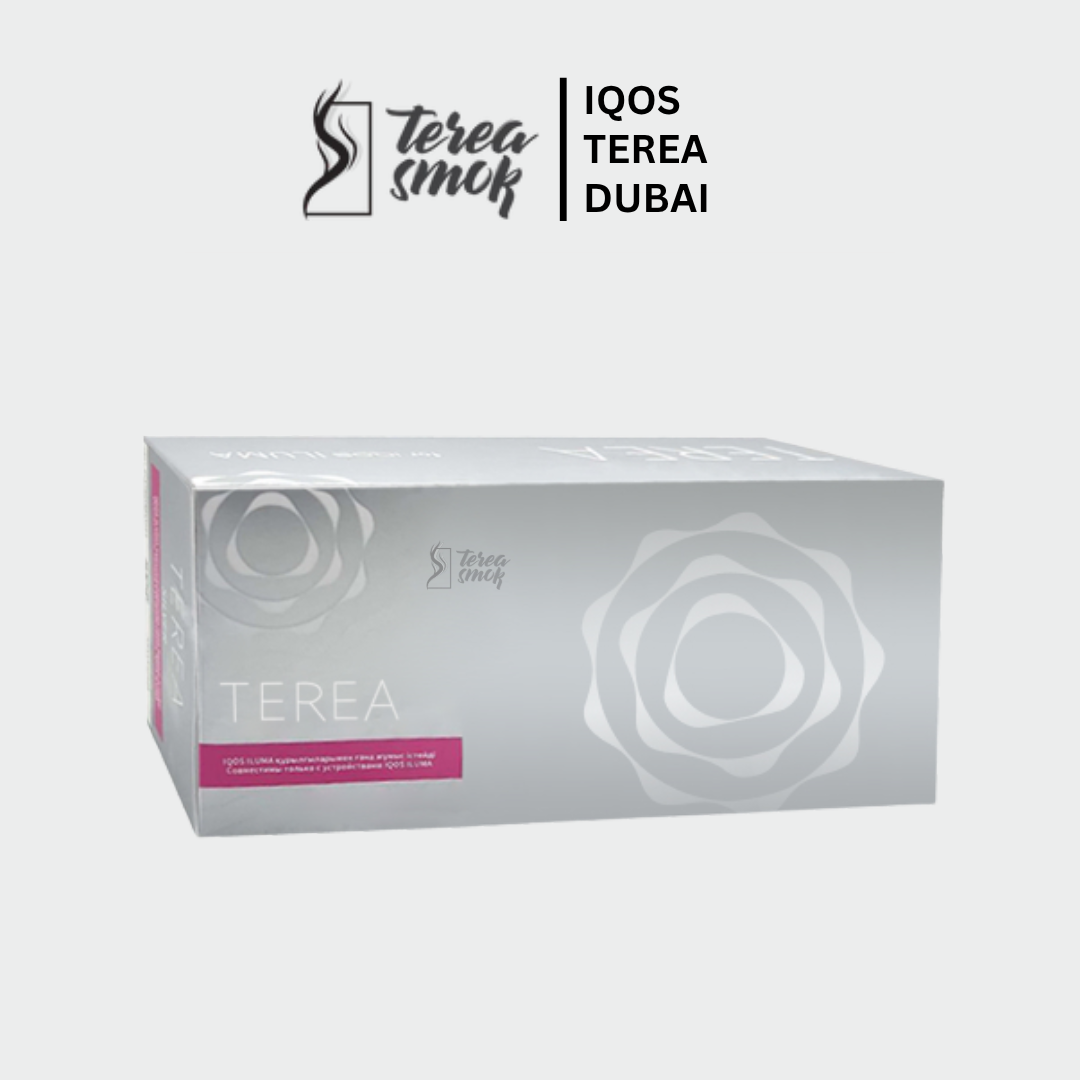 IQOS TEREA Silver Kazakhstan Sticks