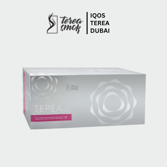 IQOS TEREA Silver Kazakhstan Sticks