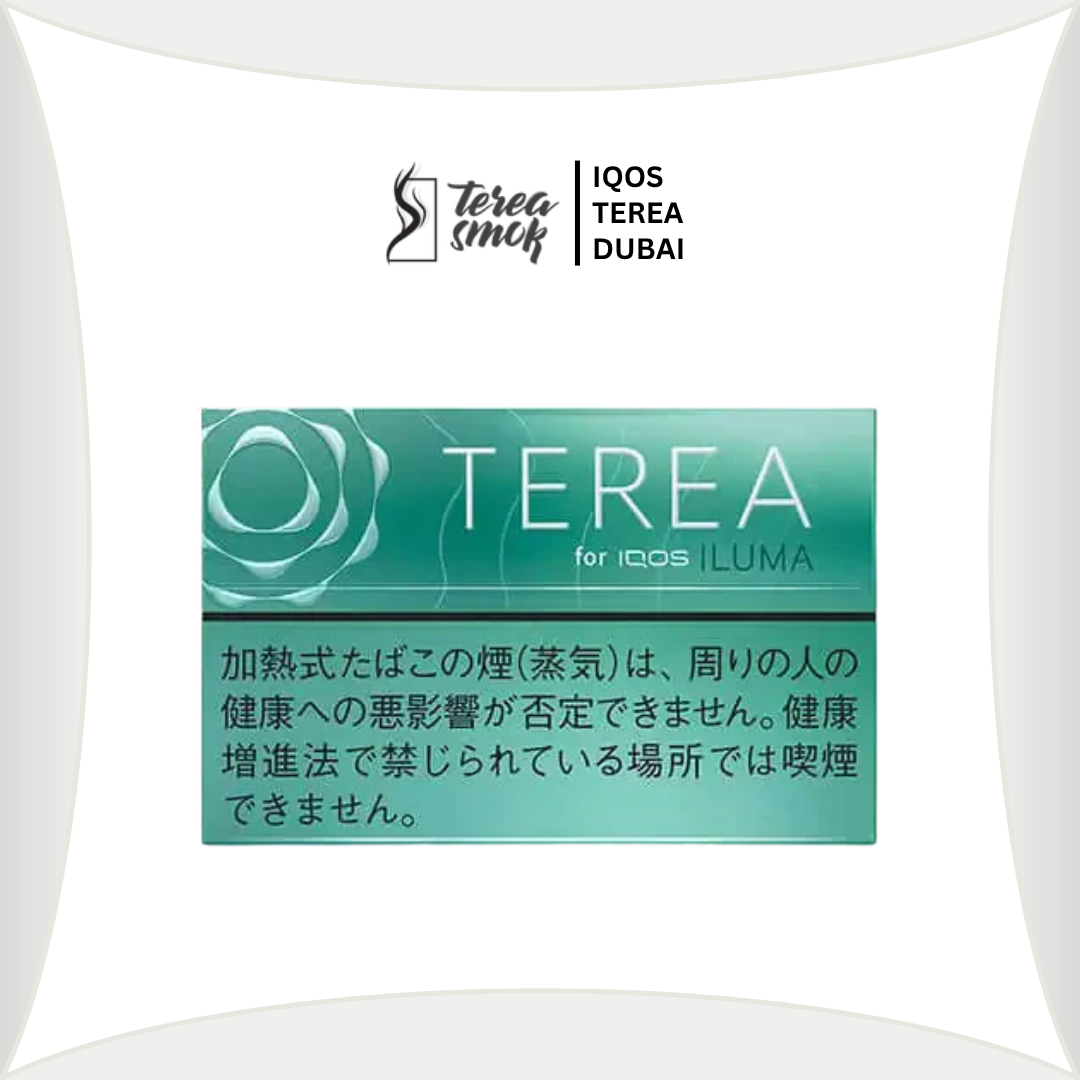 TEREA Mint for IQOS ILUMA in Dubai