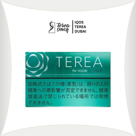 TEREA Menthol for IQOS ILUMA in Dubai