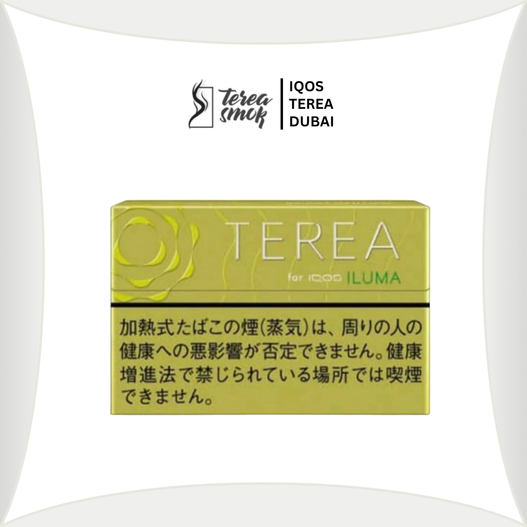 TEREA Bright Menthol for IQOS ILUMA | Fresh Citrus Blend in Dubai