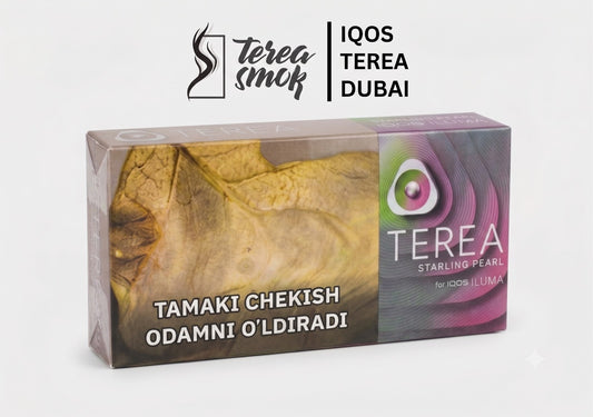 Buy IQOS TEREA Starling Pearl in Dubai | IQOS ILUMA UAE